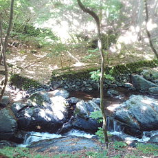 200605_p10.jpg
