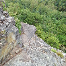 200921_p09.jpg