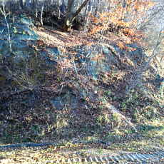 201117_p21.jpg