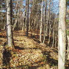 201117_p27.jpg