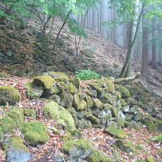 210515_p25.jpg