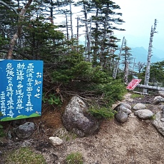 220618_p03.jpg