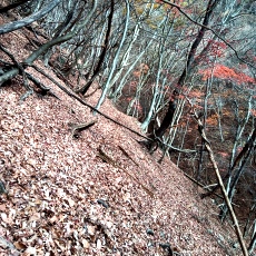 231123_p07.jpg
