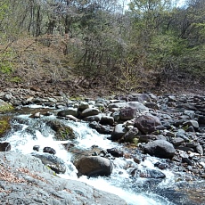 230502_p32.jpg