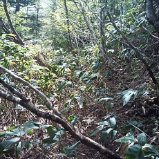 240612_p41.jpg