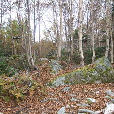 090926_n02.jpg