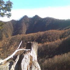 121110_p09.jpg