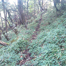 130914_p17.jpg