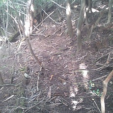 140913_p30.jpg