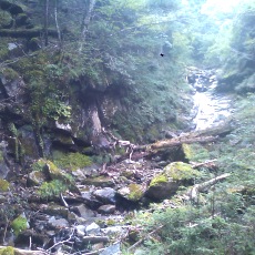 140914_n01.jpg