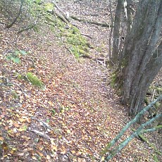 141004_p11.jpg