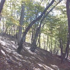 151025-01_p12.jpg