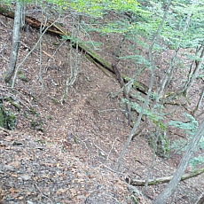 161010_p16.jpg