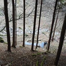 161215_p19.jpg