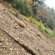 171008_p19.jpg