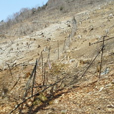 180329_p18.jpg