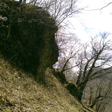 190427_p15.jpg