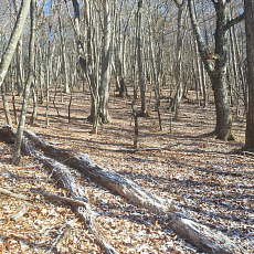 191129_p09.jpg