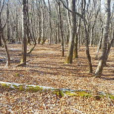 191129_p20.jpg