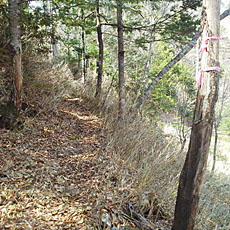 200001_p05.jpg