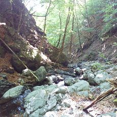 200605_p16.jpg