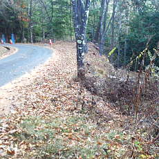 201117_p09.jpg