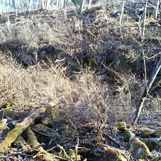 201206_p70.jpg
