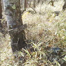 210315_p38.jpg