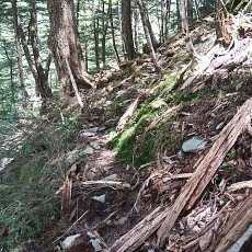 220528_p34.jpg