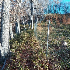 221112_p06.jpg