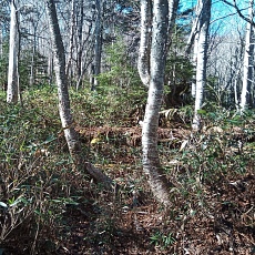 221112_p41.jpg