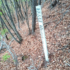 230502_p09.jpg