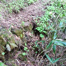 240612_p49.jpg