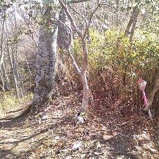 110508_n01.jpg