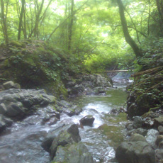 120716_p01.jpg