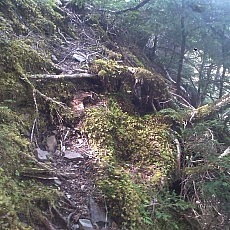 140922_p12.jpg