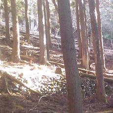 150330_p05.jpg