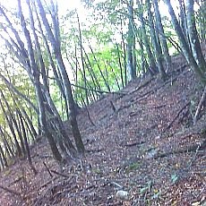 150905_p09.jpg