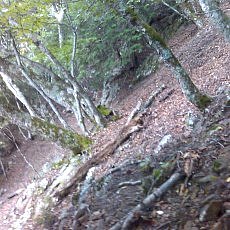 150920-01_p01.jpg
