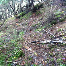 171008_p02.jpg