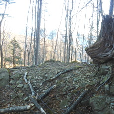 180303_p04.jpg