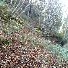 191104_p21.jpg