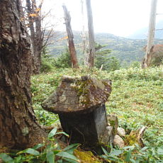 201004_p21.jpg