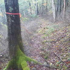 201018_p17.jpg