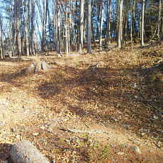 201117_p28.jpg