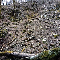 220416_p24.jpg