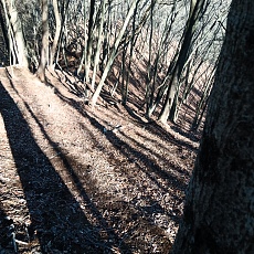 230304_p14.JPG