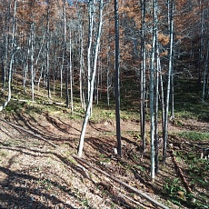 221112_p17.jpg