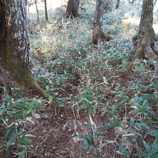 221112_p32.jpg