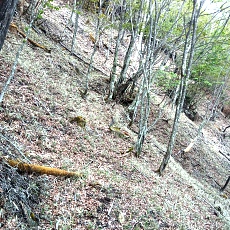 230520_p01.jpg